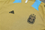 Kit de Treino (Camisa + Shorts) - Argentina 24/25 - comprar online