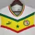 Camisa Seleção Senegal Away 22/23 Torcedor Puma Masculina - Branco na internet