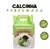 Tanga Perfumada II DSS