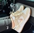 Nike Dunk Low "Phantom Metallic Gold" na internet
