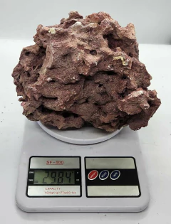 Rocha Marco Rocks Saver Coraline Para Aquario Marinho - 10 na internet