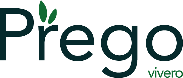 Prego vivero