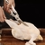 Tesoura Culinária p/ Peixes e Aves - loja online