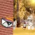 KIT 3 LUMINÁRIA SOLAR COM SENSOR DE PRESENÇA - loja online