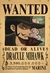 Cartaz de Procurado dos Piratas - One Piece - Nerd Plus