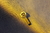 Pin Caratbong Seventeen - loja online