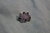 Pin Amygdala
