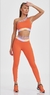 Legging NZ CajuBrasil na internet