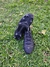 Imagen de Botines Nike Mercurial Vapor 14 Academy