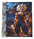 Caderno Personalizado Dragon Ball Anime 20 Matérias Espiral na internet