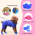 Botinha de Chuva Impermeável - Cão e Gato - comprar online