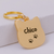 Gato Inglês Ouro Luxo + Coleira de Couro - comprar online