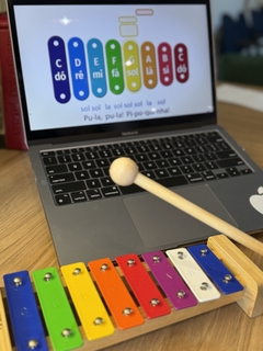 Imagem do kit de atividades musicais + xilofone afinado