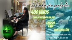 Introdução Perfeita - CURSO COMPLETO
