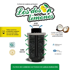 Filtro dos limones - comprar online