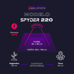 Spyder 220 - comprar online