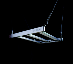 Spyder 165