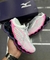 mizuno prophecy 13