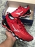 Mizuno prophecy 13