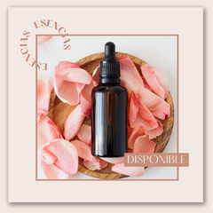 Esencias PREMIUM 20 ml - Importadas