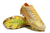 Nike Air Zoom Mercurial Vapor Elite XV FG - JP SPORTS