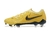 Imagem do Nike Phantom Lunar Elite FG