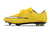Nike Mercurial Vapor X FG na internet