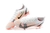 Nike Vapor 14 Elite FG - JP SPORTS