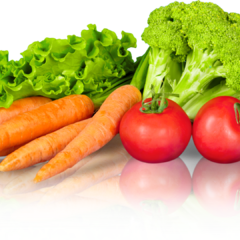 Banner da categoria Sopas