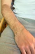 Pulseira Masculina Dourada - Elo Groumet Média - comprar online