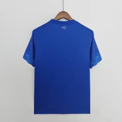 Camiseta Cruzeiro EC 2023 na internet