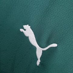 Camiseta SE Palmeiras 2023 - loja online