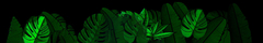 Banner de la categoría Lea