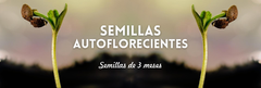 Banner de la categoría AUTOMATICAS