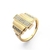 Anel Fileiras Zircônias - Semijoia em Ouro 18K