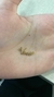 Colar Personalizado Nome (Escolha o Banho) - Semijoia em Ouro 18K - loja online