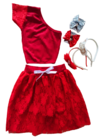 Conjunto saia em renda
