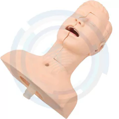 maniquí de entrenamiento vías respiratorias
