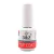 Top Coat D&Z 15ml