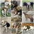 Imagem do Arnês militar para cães grandes para animais de estimação, pastor alemão K9