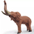 ELEFANTE REAL ANIMALS
