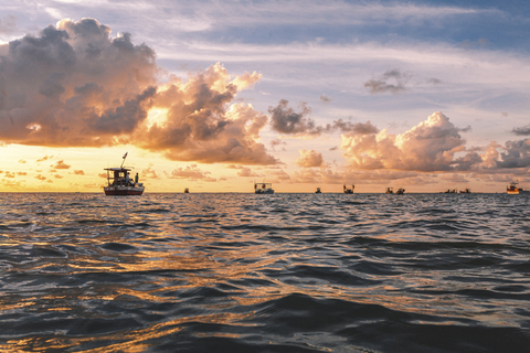 Barcos IV