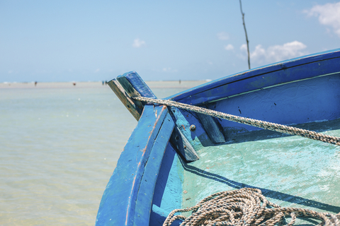 Barcos VI