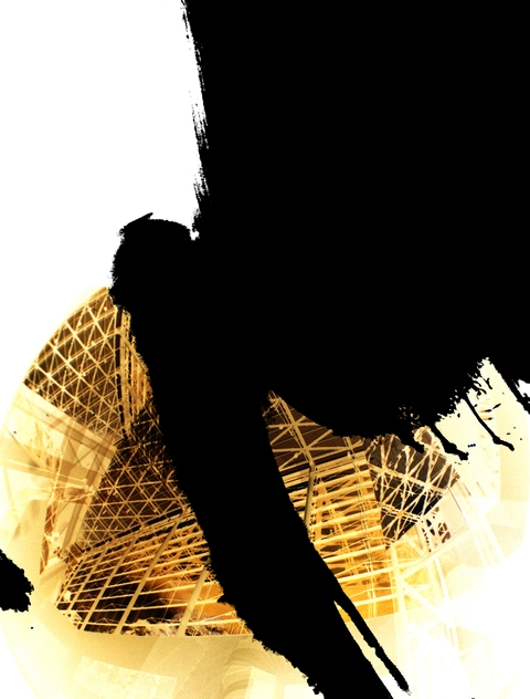 Black tarantula on a spiders