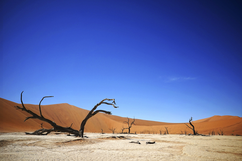 Camping com as Estrelas II