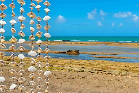 Cortina de conchas II