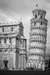 Duomo e Torre Di Pisa, Piazza dei Miracoli, Pisa - Itália - II