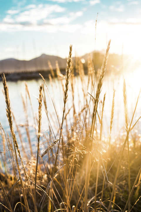 Fim de tarde no campo - Tromso - Noruega