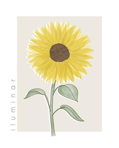 FLORAIS - ILUMINAR - GIRASSOL