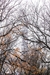 NEWYORK_THEPERFECT_BLEND